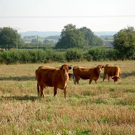 Bed & Breakfast Fradonniere